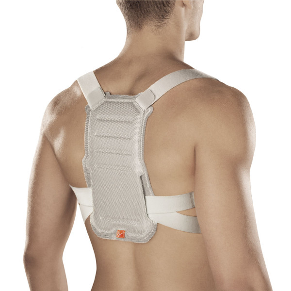 Orthoservice Dorsolite Geradehalter 1 Orthoservice Dorsolite Geradehalter