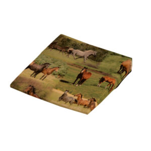 Sitty Kid Keilkissen