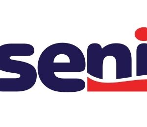 Seni Lady slim Mini, P=20 Stück, atmungsaktive Einlage, neue verbesserte Serie