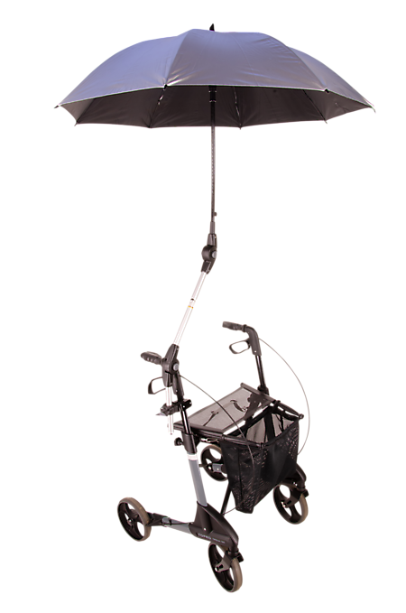 art 597 1